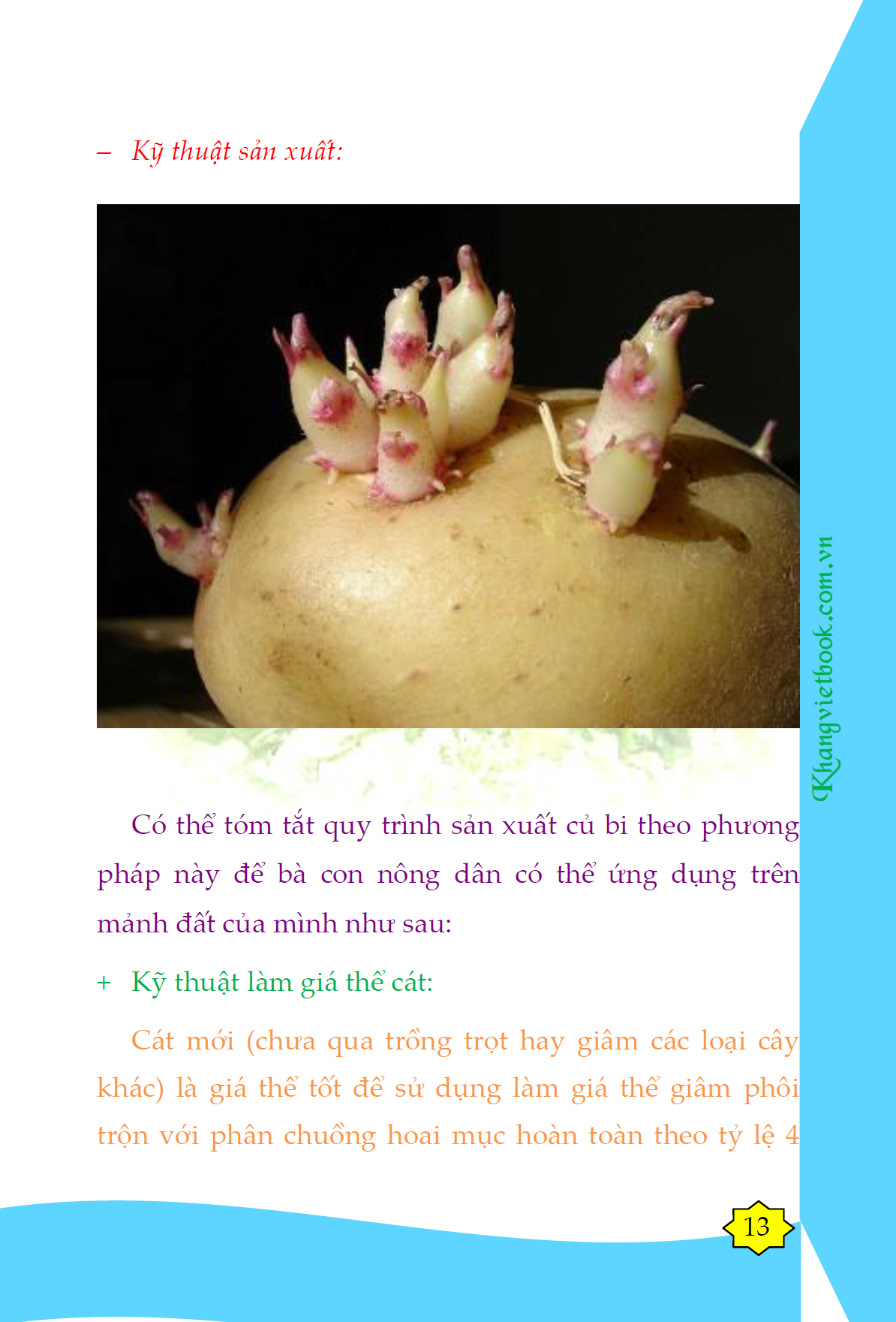 Trích đoạn 11