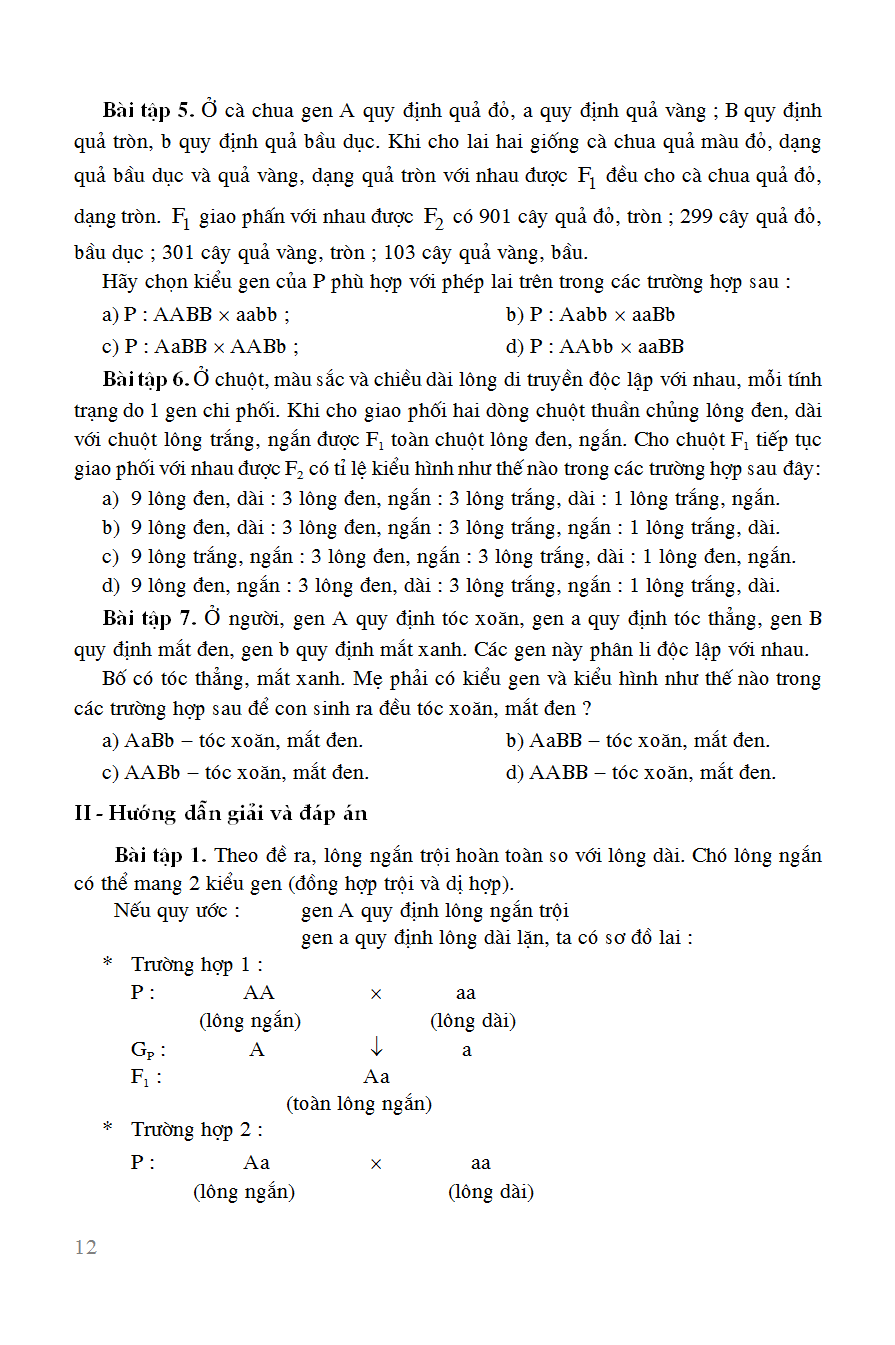 Trích đoạn 11