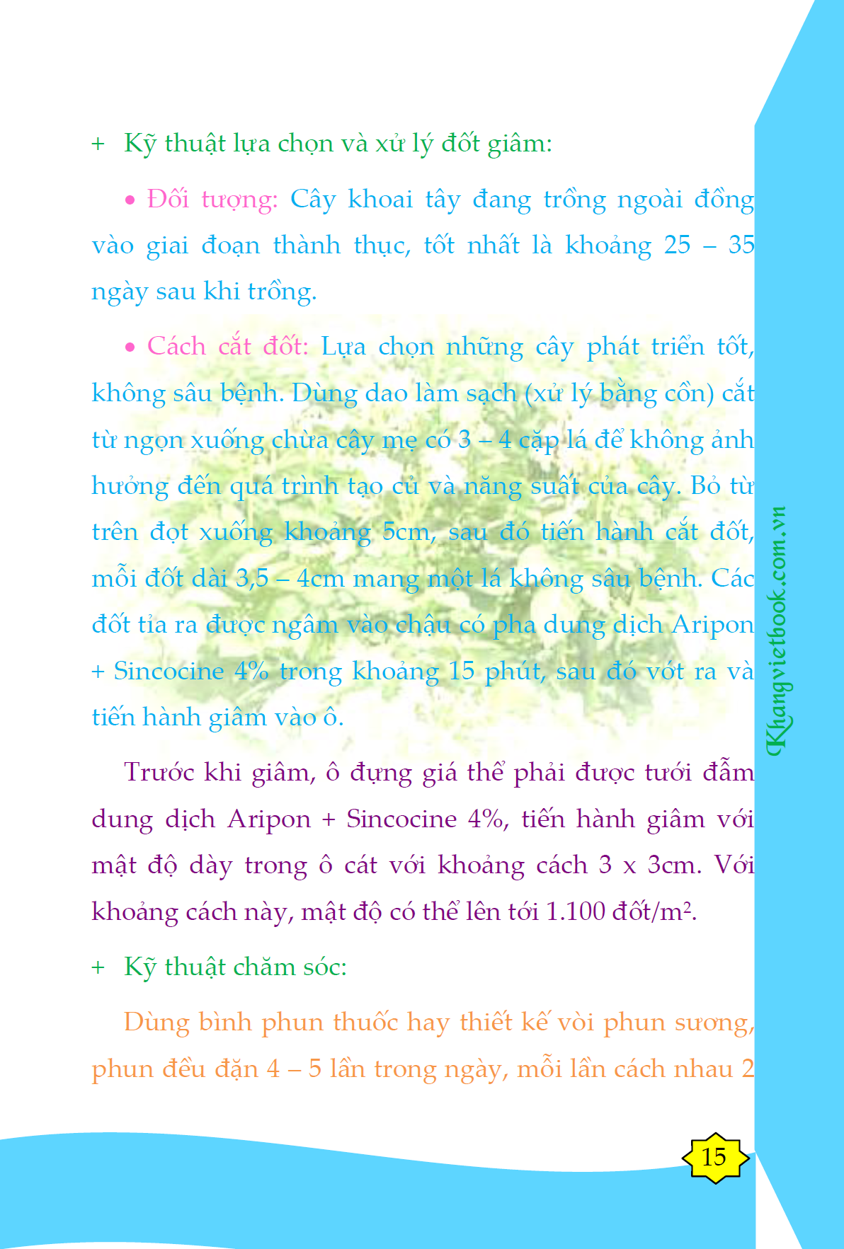 Trích đoạn 13