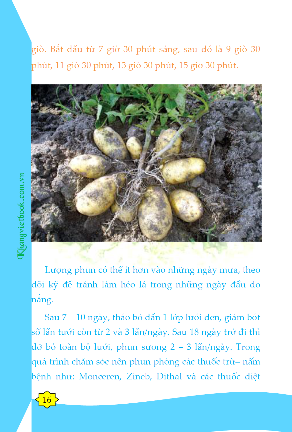 Trích đoạn 14