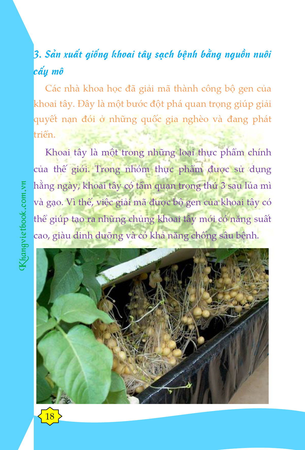 Trích đoạn 16