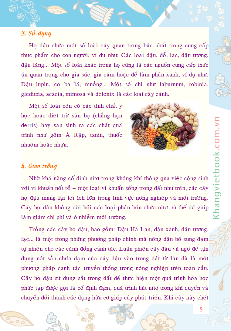 Trích đoạn 4