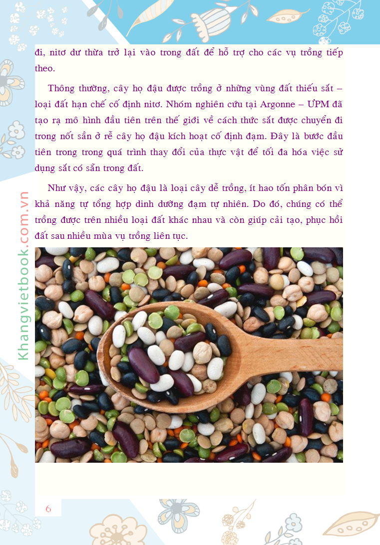 Trích đoạn 5